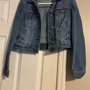 American Eagle Outfitters Blue Denim Jacket
